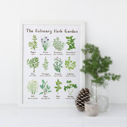 11" x 14" Culinary Herb Garden Botanical Art Print