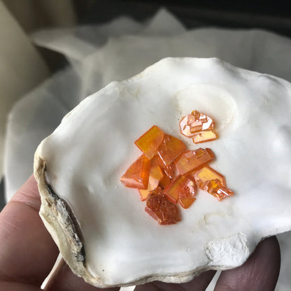 Wulfenite Crystals Arizona