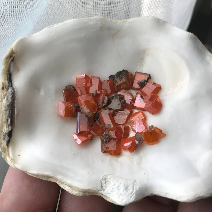 Wulfenite Crystals Red Cloud Mine