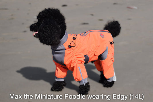 Zesty Dog Body Suit